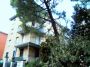 Bilocale con giardino Casalecchio Di Reno