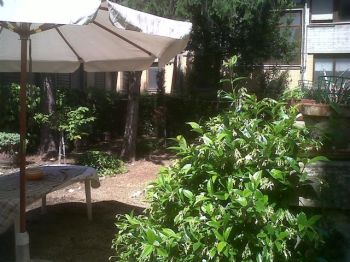 Appartamento arredato con giardino Montevarchi - Altre fotografie