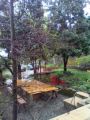 Casa arredata con giardino Pinerolo