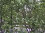 Appartamento studenti con balcone Precollina,