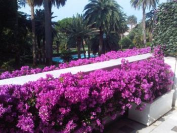 Bilocale arredato con terrazzo Nervi - quinto al mare - Altre fotografie