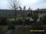 Appartamento arredato Firenze