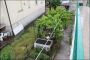 Appartamento arredato con balcone Borgo rivo
