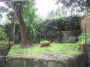 Loft arredato con giardino Balduina, trionfale,