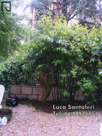 Appartamento con garage e giardino Ostiense - portuense - Altre fotografie