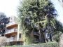 Appartamento da ristrutturare Monza