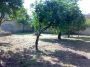 Appartamento con giardino e terrazzo