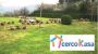 Appartamento con giardino Rifredi