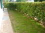 Appartamento con garage e giardino Casier/dosson