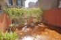 Casa arredata con giardino Trastevere, aventino,