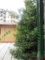 Casa con terrazzo Campo di marte