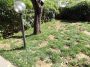 Bilocale con giardino e posto auto Calci