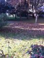 Appartamento con posto auto Mestre