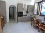 Appartamento arredato con giardino Ciampino