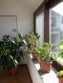 Appartamento Milano