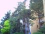 Casa arredata Bologna