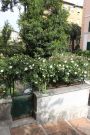 Appartamento in affitto