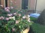 Casa con garage e giardino Scandicci