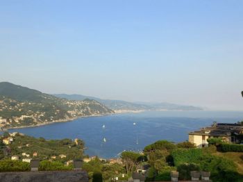 Imagen Bilocale arredato con piscina Rapallo