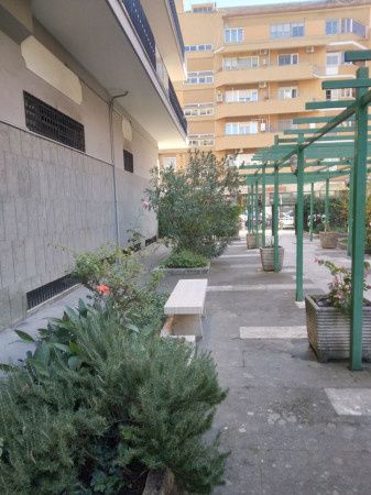 Imagen Bilocale con terrazzo Nuovo salario, prati fiscali, monte sacro, talenti, vigne nuove, serpentara