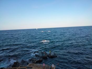 Imagen Villa arredata con terrazzo Acireale