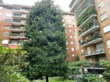 Imagen Bilocale arredato con terrazzo Fiera, firenze, sempione, paolo sarpi/arena