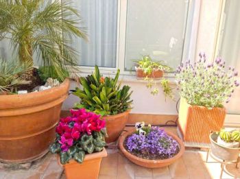 Vivienda similar