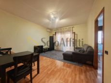 Solo Affitti - Roma 13 - 7960022