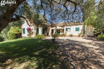 Imagen Villa arredata con terrazzo Porto santo stefano