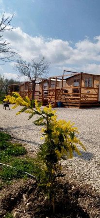 Vivienda similar