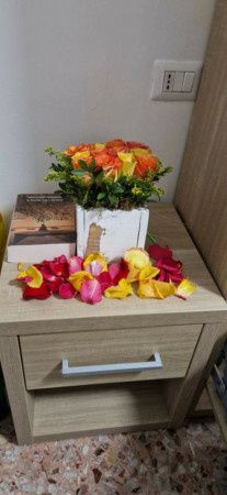 Imagen Monolocale arredato Chiesa rossa, cermenate, ripamonti