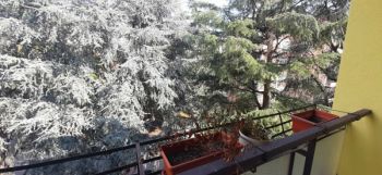 Imagen Appartamento arredato Borgo milano, navigatori, saval, chievo