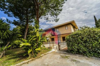 Imagen Bilocale Palermo