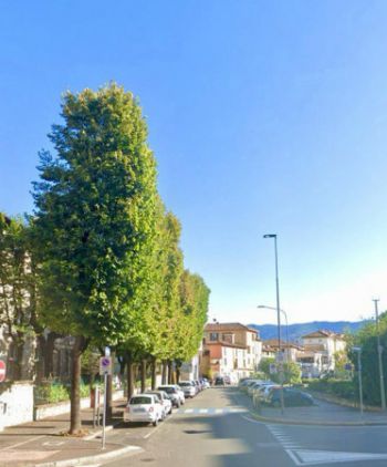 Imagen Appartamento arredato Borgo trento