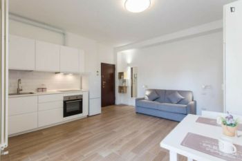 Imagen Monolocale arredato Chiesa rossa, cermenate, ripamonti