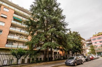 Imagen Appartamento arredato Greco , monza , palmanova, bicocca