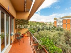 Engel & Vlkers Roma - 8102650