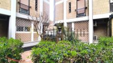 Solo Affitti - Roma 13 - 8214750