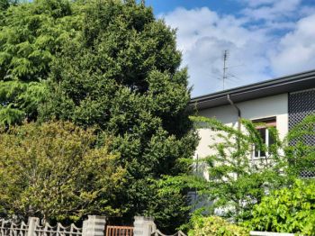 Vivienda similar