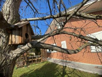 Vivienda similar