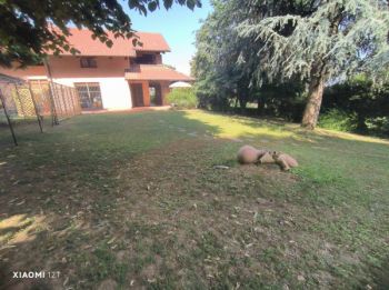 Vivienda similar