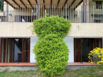 Vivienda similar